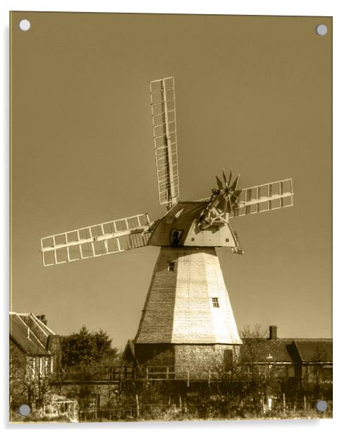 Windmill Baker Street  Orsett Thurrock Essex Sepia Acrylic by David French