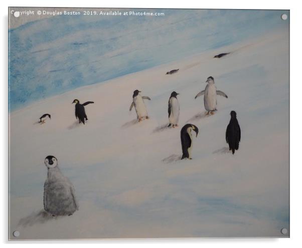 Penguins Acrylic by Steve Boston