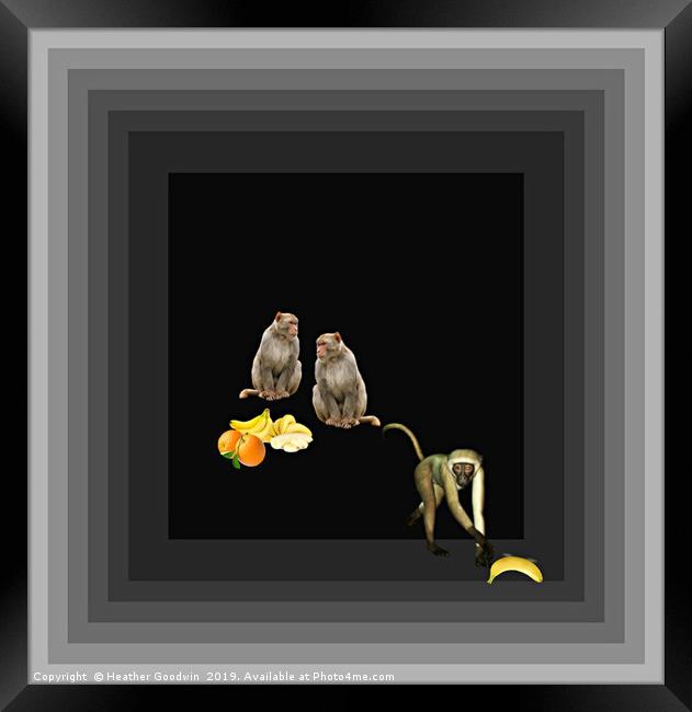 Monkey Business Framed Print by Heather Goodwin