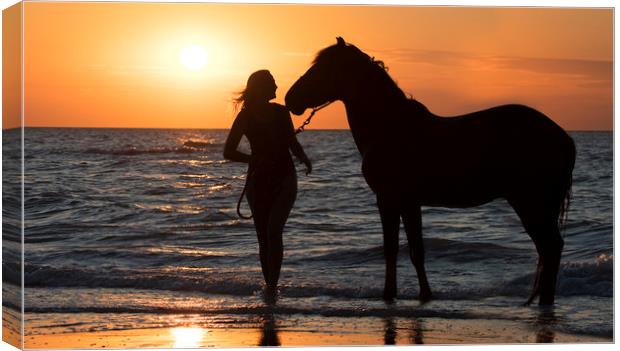 Horse and Woman at Sunset Canvas Print by Arterra 