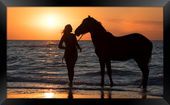 Horse and Woman at Sunset Framed Print by Arterra 