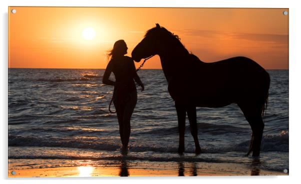 Horse and Woman at Sunset Acrylic by Arterra 