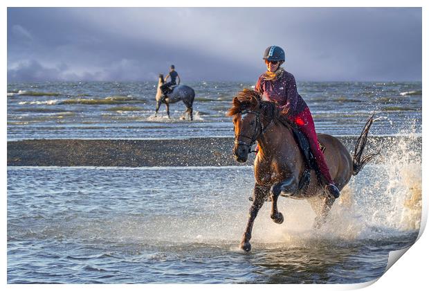 Galloping on the Beach Print by Arterra 