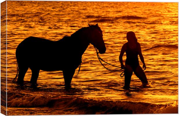 Horse and Rider at Sunset Canvas Print by Arterra 