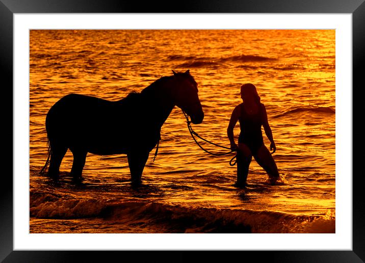 Horse and Rider at Sunset Framed Mounted Print by Arterra 