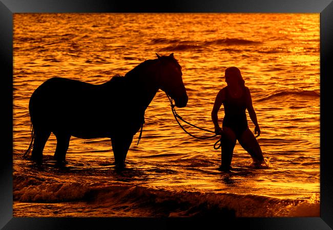 Horse and Rider at Sunset Framed Print by Arterra 