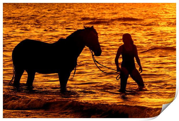 Horse and Rider at Sunset Print by Arterra 