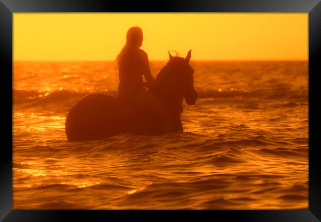 Horsewoman at Sunset Framed Print by Arterra 