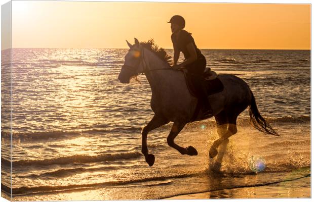 Galloping at Sunset Canvas Print by Arterra 