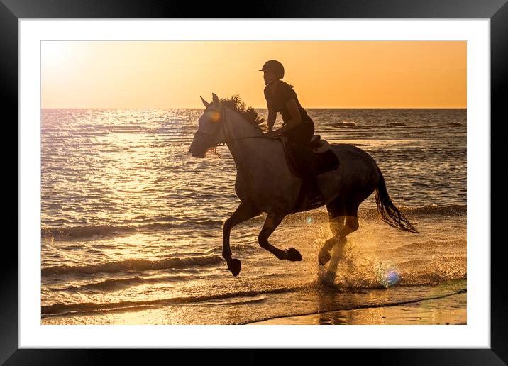 Galloping at Sunset Framed Mounted Print by Arterra 