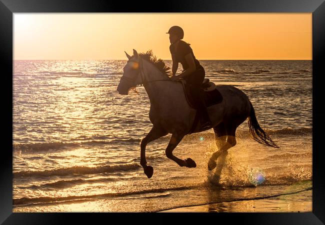 Galloping at Sunset Framed Print by Arterra 