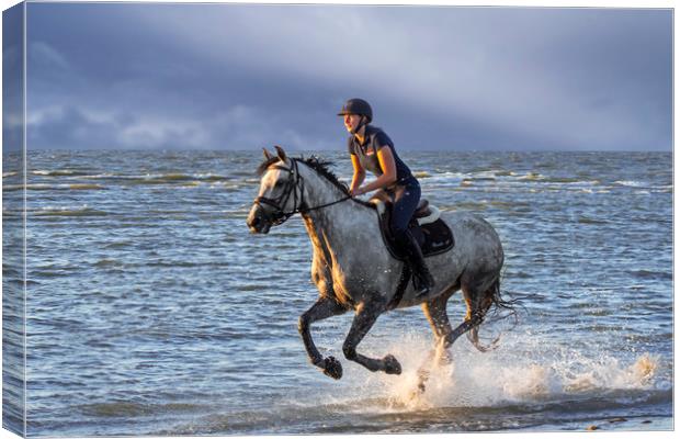 Horse Riding on the Beach Canvas Print by Arterra 