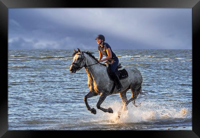 Horse Riding on the Beach Framed Print by Arterra 
