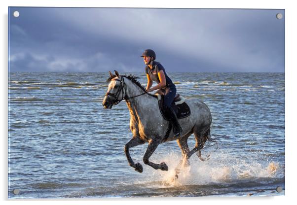 Horse Riding on the Beach Acrylic by Arterra 