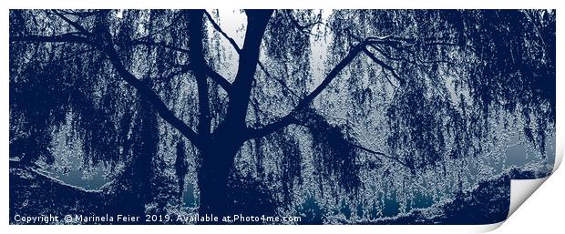 Willow in blue Print by Marinela Feier