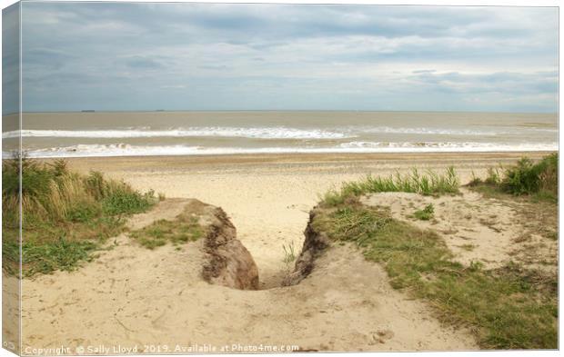 Looking out at Covehithe Canvas Print by Sally Lloyd