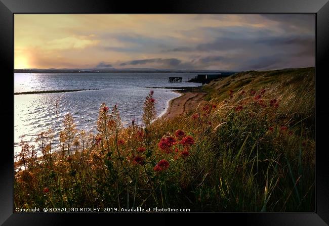 "Breezy sunset at South Gare" Framed Print by ROS RIDLEY