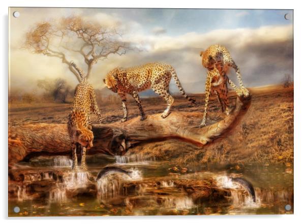 Cheetah Trio Acrylic by Trudi Simmonds