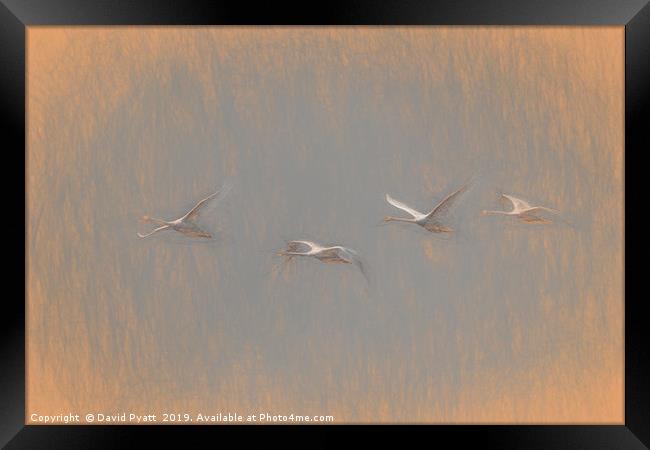 Swans Flying Leonardo da Vinci Framed Print by David Pyatt