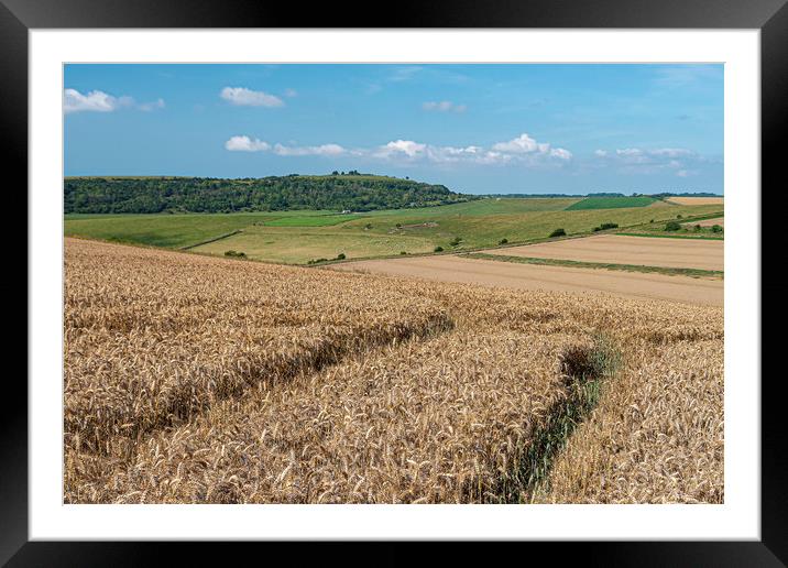 Cissbury Harvest - South Downs National Park Framed Mounted Print by Malcolm McHugh