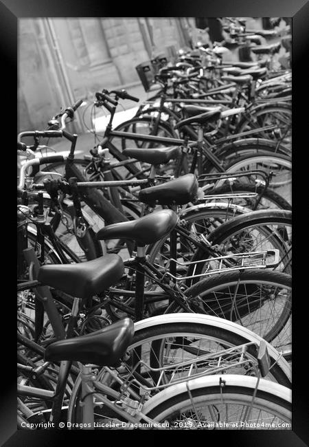 Row of bicycles black and white photography Framed Print by Dragos Nicolae Dragomirescu