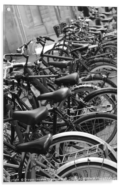 Row of bicycles black and white photography Acrylic by Dragos Nicolae Dragomirescu
