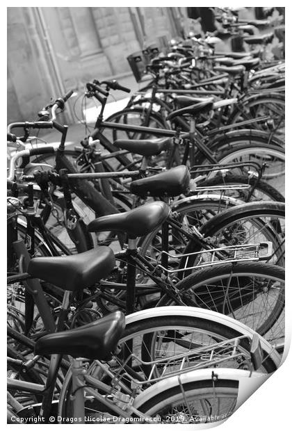 Row of bicycles black and white photography Print by Dragos Nicolae Dragomirescu