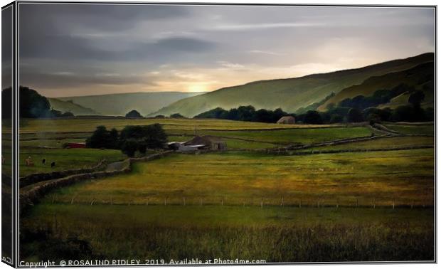"Pastel Yorkshire morning" Canvas Print by ROS RIDLEY