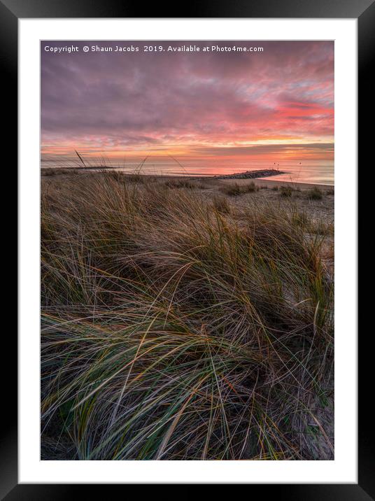 Sunrise over the sand dunes of Sandbanks  Framed Mounted Print by Shaun Jacobs