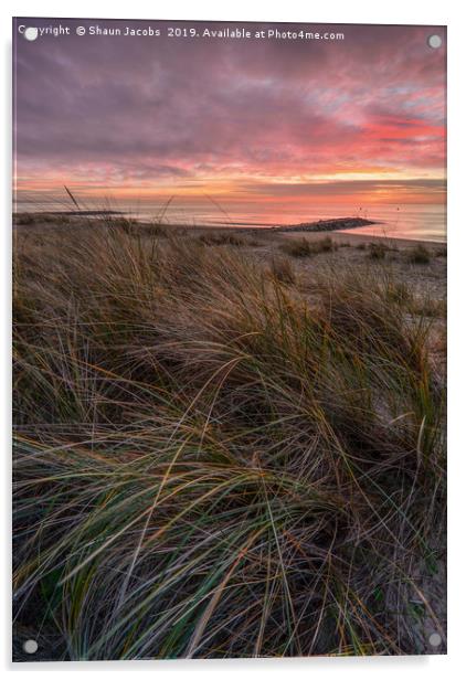 Sunrise over the sand dunes of Sandbanks  Acrylic by Shaun Jacobs