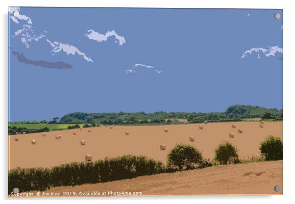 Hay Bales in Rural Norfolk Digital Art Acrylic by Jim Key