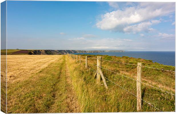 Coastal Path Old and New Canvas Print by Malcolm McHugh