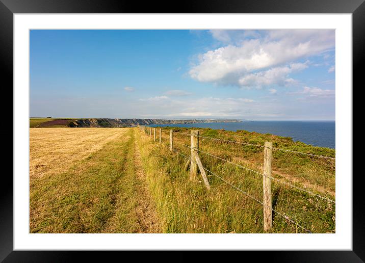 Coastal Path Old and New Framed Mounted Print by Malcolm McHugh