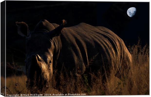 Rhino In The Evening Darkness Canvas Print by Mark McElligott