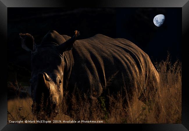 Rhino In The Evening Darkness Framed Print by Mark McElligott