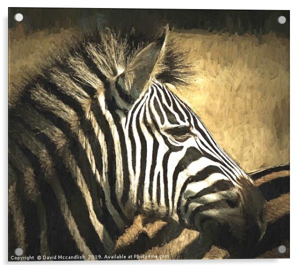 Zebra Relaxed Acrylic by David Mccandlish