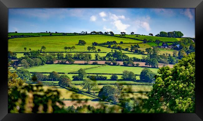 Summer Fields, Pembrokeshire, Wales, UK Framed Print by Mark Llewellyn