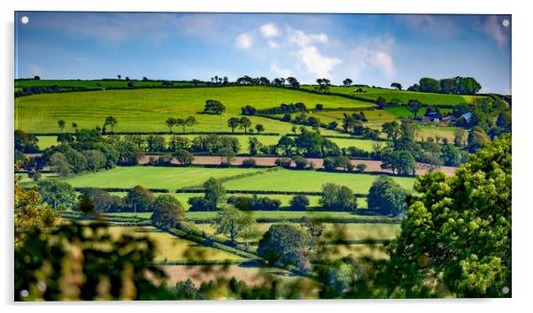 Summer Fields, Pembrokeshire, Wales, UK Acrylic by Mark Llewellyn