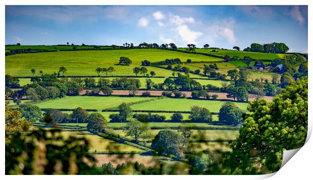 Summer Fields, Pembrokeshire, Wales, UK Print by Mark Llewellyn