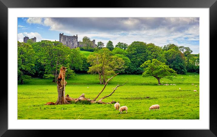 Llansteffan Castle, Pembrokeshire, Wales, UK Framed Mounted Print by Mark Llewellyn
