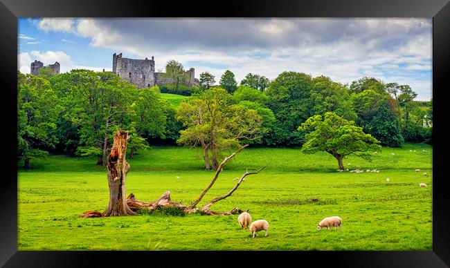 Llansteffan Castle, Pembrokeshire, Wales, UK Framed Print by Mark Llewellyn