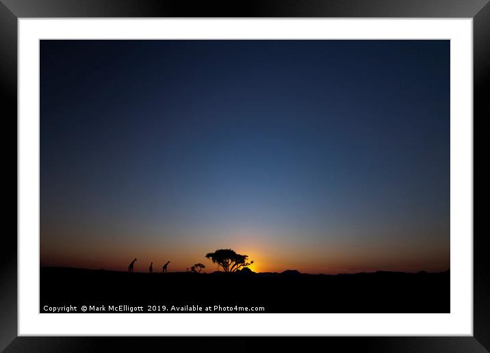 Giraffes At Sunset Framed Mounted Print by Mark McElligott