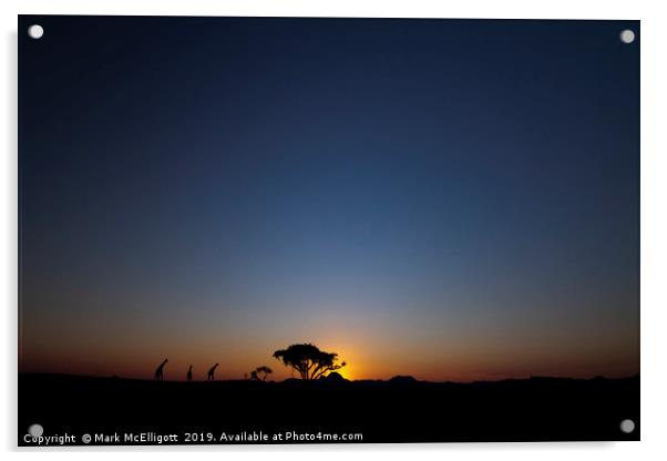 Giraffes At Sunset Acrylic by Mark McElligott
