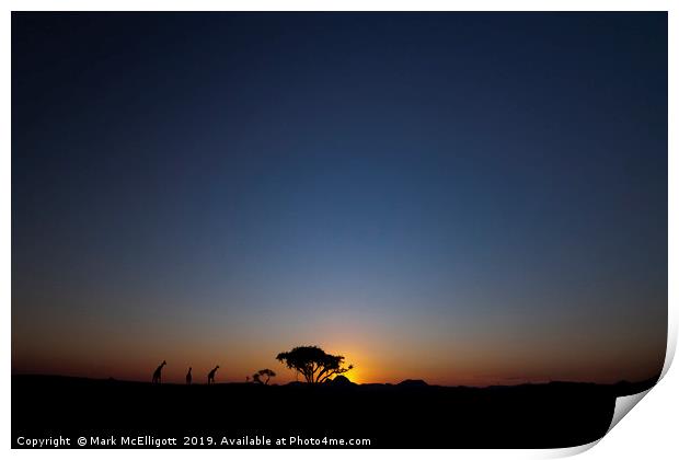 Giraffes At Sunset Print by Mark McElligott