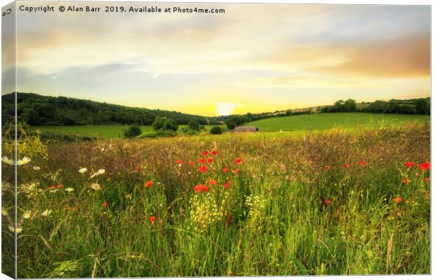 Evening on the South Downs Canvas Print by Alan Barr