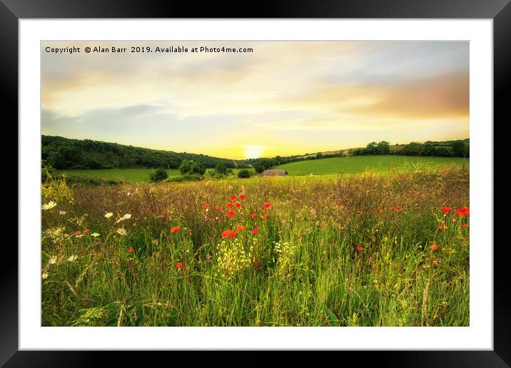 Evening on the South Downs Framed Mounted Print by Alan Barr