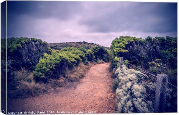 Trail in Port Campbell National Park, Australia Canvas Print by Mehul Patel