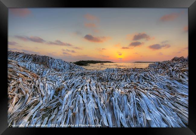 Seaweed Sunset, Paphos Cyprus Framed Print by Neil Holman