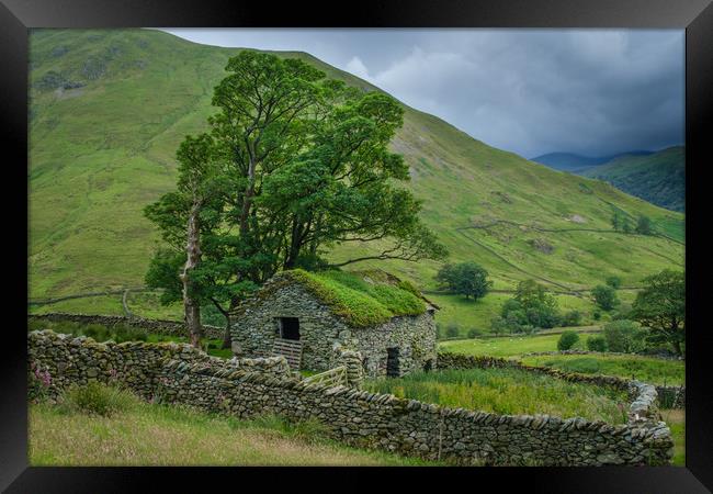 Lone Barn with trees Hartsop Lake District Framed Print by Greg Marshall