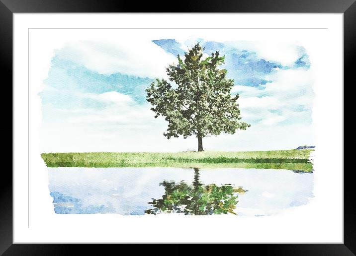 Lonely tree by the pond Framed Mounted Print by Wdnet Studio